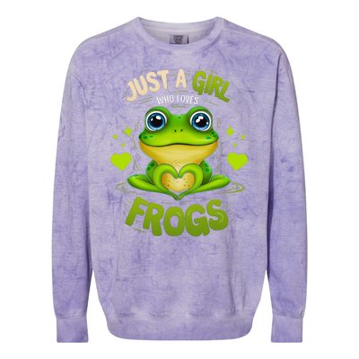 Just A Girl Who Loves Frogs Funny Frog Lover Girl Woman Colorblast Crewneck Sweatshirt