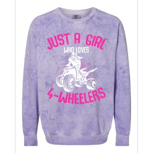 Just A Girl Who Loves 4 Wheelers Atv Quad Colorblast Crewneck Sweatshirt