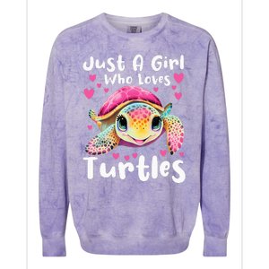 Just A Girl Who Loves Turtles Sea Animal Reptile Lover Colorblast Crewneck Sweatshirt