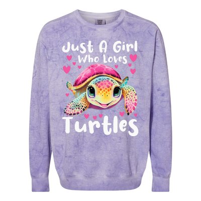 Just A Girl Who Loves Turtles Sea Animal Reptile Lover Colorblast Crewneck Sweatshirt