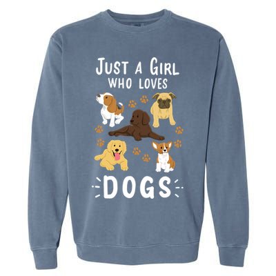 Just A Girl Who Loves Dogs Dog Lover Gift For Girls Gift Garment-Dyed Sweatshirt