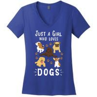 Just A Girl Who Loves Dogs Dog Lover Gift For Girls Gift Women's V-Neck T-Shirt