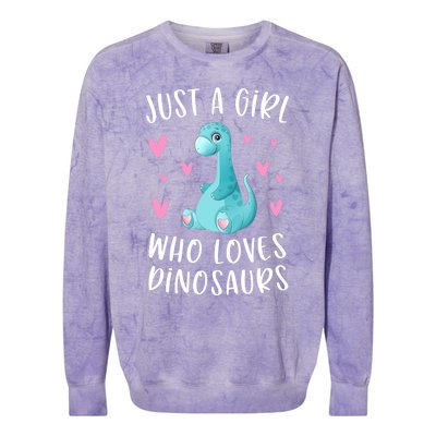 Just A Girl Who Loves Dinosaurs Cute Dinosaur Dino Lover Colorblast Crewneck Sweatshirt