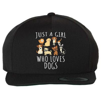 Just A Girl Who Loves Dogs Funny Puppy Wool Snapback Cap