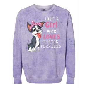 Just A Girl Who Loves Boston Terriers Colorblast Crewneck Sweatshirt