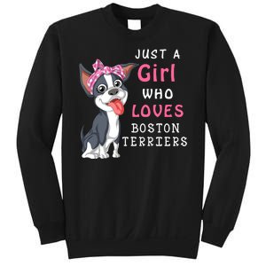 Just A Girl Who Loves Boston Terriers Sweatshirt