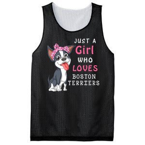 Just A Girl Who Loves Boston Terriers Mesh Reversible Basketball Jersey Tank