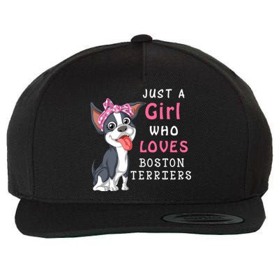 Just A Girl Who Loves Boston Terriers Wool Snapback Cap