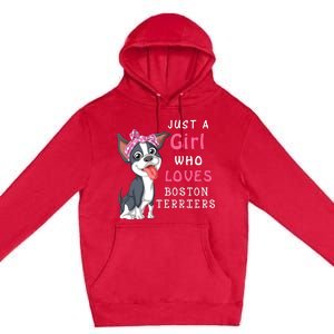 Just A Girl Who Loves Boston Terriers Premium Pullover Hoodie