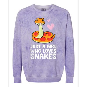 Just A Girl Who Loves Snakes Cute Snake Colorblast Crewneck Sweatshirt