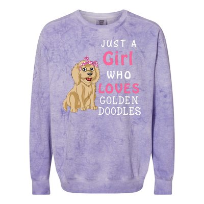 Just A Girl Who Loves Goldendoodles Colorblast Crewneck Sweatshirt