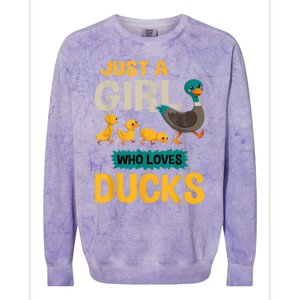 Just A Girl Who Loves Ducks Funny Duck Lover Colorblast Crewneck Sweatshirt