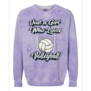 Just A Girl Who Love Volleyball Colorblast Crewneck Sweatshirt