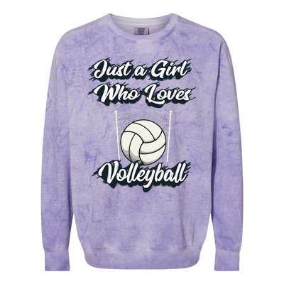 Just A Girl Who Love Volleyball Colorblast Crewneck Sweatshirt