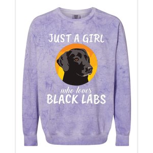 Just A Girl Who Loves Black Labs Clothes Gift Black Labrador Colorblast Crewneck Sweatshirt