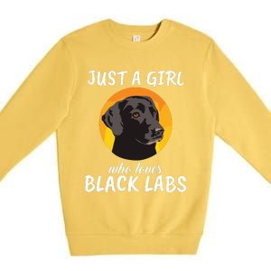 Just A Girl Who Loves Black Labs Clothes Gift Black Labrador Premium Crewneck Sweatshirt