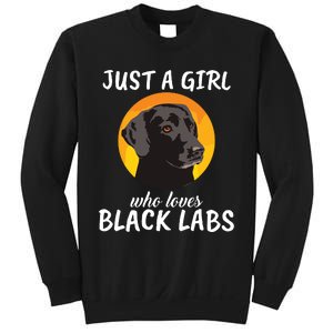 Just A Girl Who Loves Black Labs Clothes Gift Black Labrador Sweatshirt