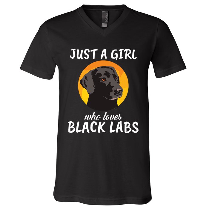 Just A Girl Who Loves Black Labs Clothes Gift Black Labrador V-Neck T-Shirt