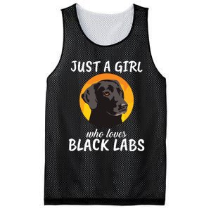 Just A Girl Who Loves Black Labs Clothes Gift Black Labrador Mesh Reversible Basketball Jersey Tank