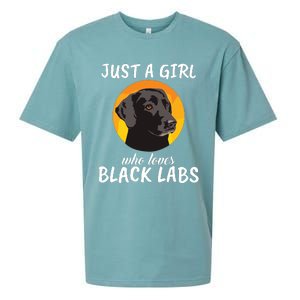 Just A Girl Who Loves Black Labs Clothes Gift Black Labrador Sueded Cloud Jersey T-Shirt