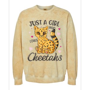 Just A Girl Who Loves Cheetahs Women Cheetah Cat Lover Gift Colorblast Crewneck Sweatshirt