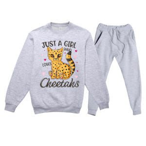 Just A Girl Who Loves Cheetahs Women Cheetah Cat Lover Gift Premium Crewneck Sweatsuit Set