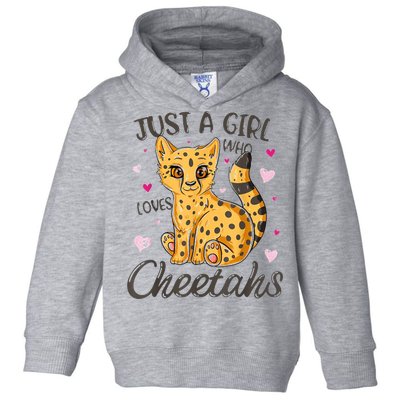 Just A Girl Who Loves Cheetahs Women Cheetah Cat Lover Gift Toddler Hoodie