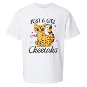 Just A Girl Who Loves Cheetahs Women Cheetah Cat Lover Gift Sueded Cloud Jersey T-Shirt