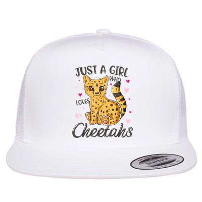 Just A Girl Who Loves Cheetahs Women Cheetah Cat Lover Gift Flatbill Hat