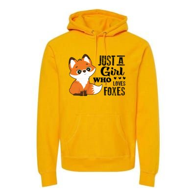 Just A Girl Who Loves Foxes Fox Lover Gift Premium Hoodie