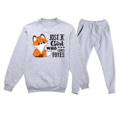 Just A Girl Who Loves Foxes Fox Lover Gift Premium Crewneck Sweatsuit Set