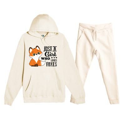 Just A Girl Who Loves Foxes Fox Lover Gift Premium Hooded Sweatsuit Set