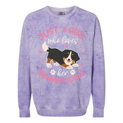 Just A Girl Who Loves Her Bernedoodle Dog Lover Kawaii Colorblast Crewneck Sweatshirt