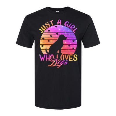 Just A Girl Who Loves Dogs Softstyle CVC T-Shirt