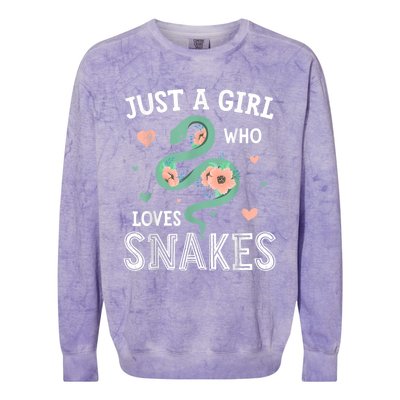 Just A Girl Who Loves Snakes Women Snake Lover Colorblast Crewneck Sweatshirt