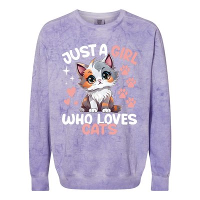 Just A Girl Who Loves Cats Cute Cat Lover Colorblast Crewneck Sweatshirt