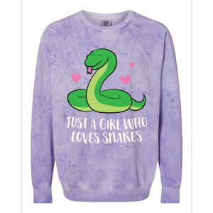 Just A Girl Who Loves Snakes Cute Snake Girl Gift Colorblast Crewneck Sweatshirt