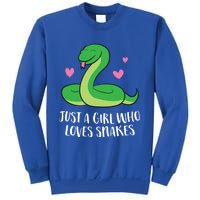 Just A Girl Who Loves Snakes Cute Snake Girl Gift Sweatshirt