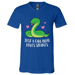 Just A Girl Who Loves Snakes Cute Snake Girl Gift V-Neck T-Shirt