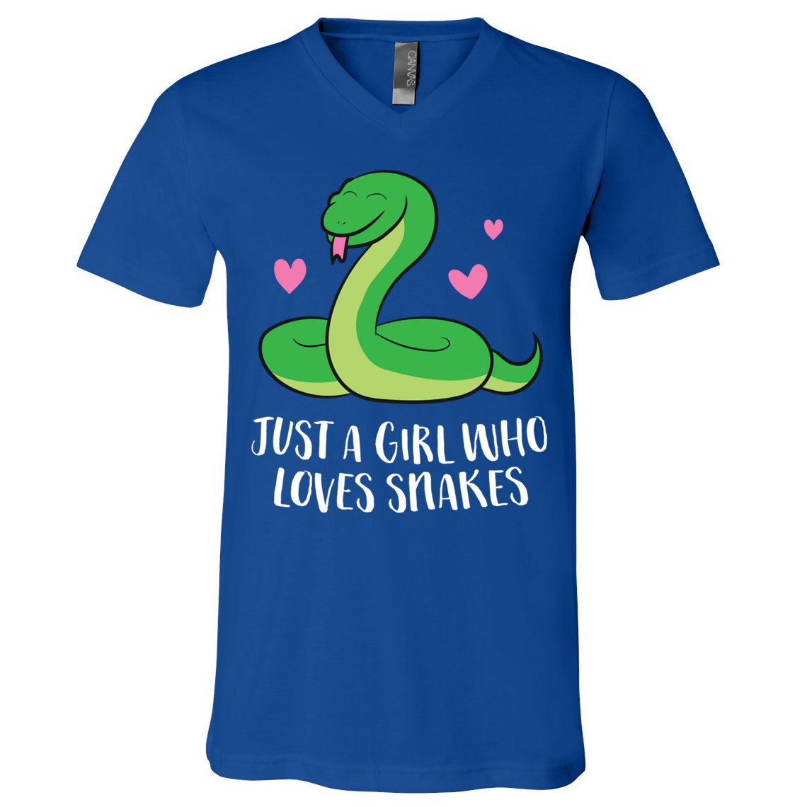 Just A Girl Who Loves Snakes Cute Snake Girl Gift V-Neck T-Shirt