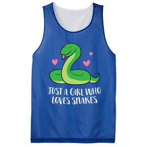 Just A Girl Who Loves Snakes Cute Snake Girl Gift Mesh Reversible Basketball Jersey Tank