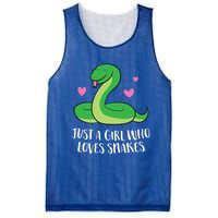 Just A Girl Who Loves Snakes Cute Snake Girl Gift Mesh Reversible Basketball Jersey Tank