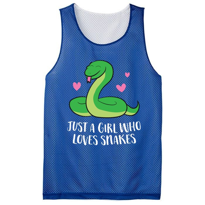 Just A Girl Who Loves Snakes Cute Snake Girl Gift Mesh Reversible Basketball Jersey Tank