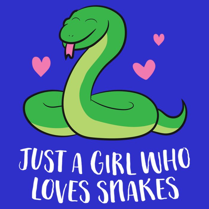 Just A Girl Who Loves Snakes Cute Snake Girl Gift Womens T-Shirt