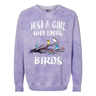 Just A Girl Who Loves Birds Birding Bird Watching Gift Colorblast Crewneck Sweatshirt