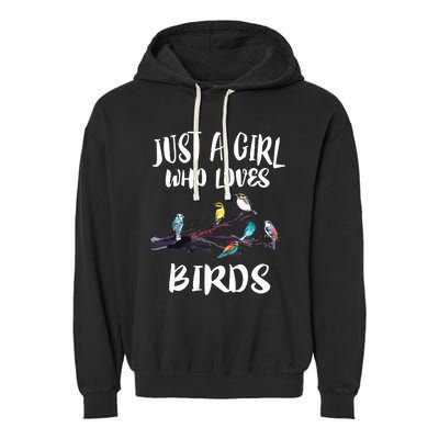 Just A Girl Who Loves Birds Birding Bird Watching Gift Garment-Dyed Fleece Hoodie