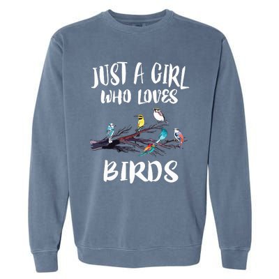 Just A Girl Who Loves Birds Birding Bird Watching Gift Garment-Dyed Sweatshirt