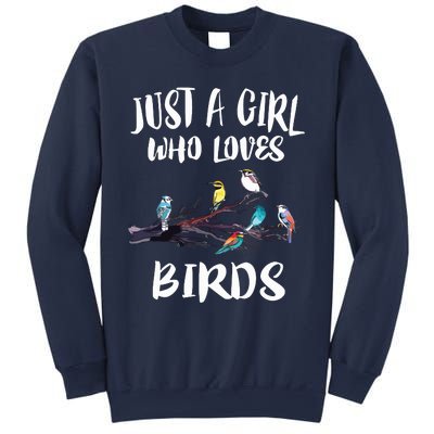 Just A Girl Who Loves Birds Birding Bird Watching Gift Sweatshirt