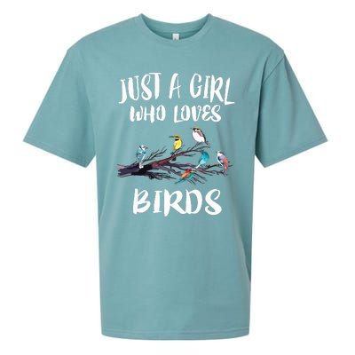 Just A Girl Who Loves Birds Birding Bird Watching Gift Sueded Cloud Jersey T-Shirt