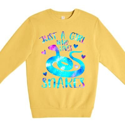 Just A Girl Who Loves Snakes Theme Cute Snake Lover Galaxy Cute Gift Premium Crewneck Sweatshirt